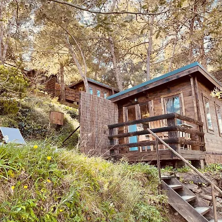 مكان تخييم Alma *