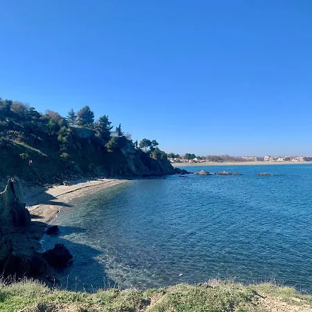 Alma * Collioure