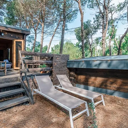 Alma Campsite *