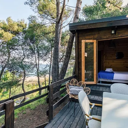 Alma * كولِيورْ