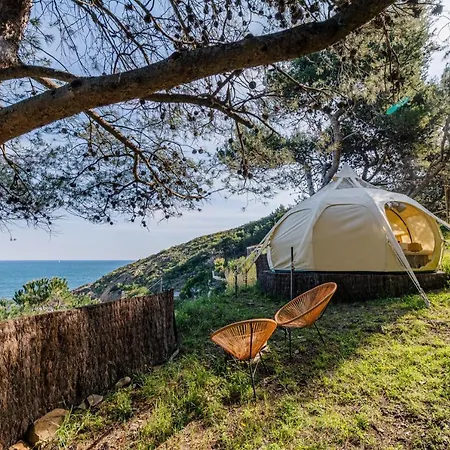 Alma Campsite