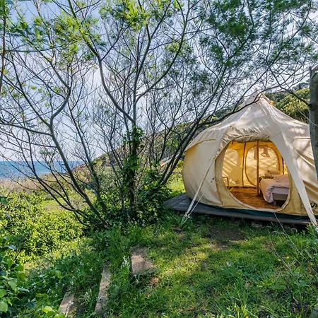 مكان تخييم Alma