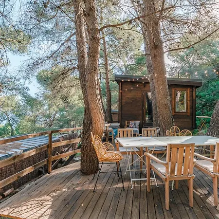 Alma كولِيورْ