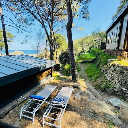 مكان تخييم Alma كولِيورْ