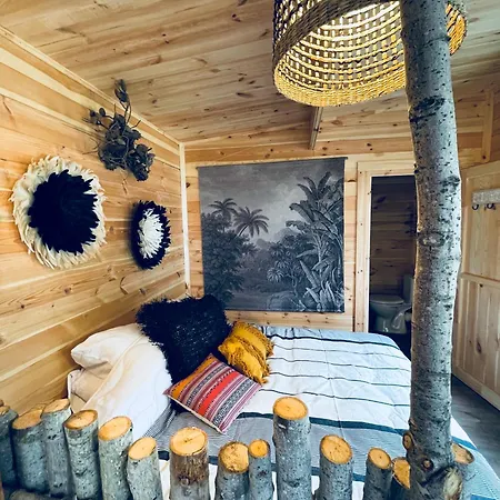 مكان تخييم Alma