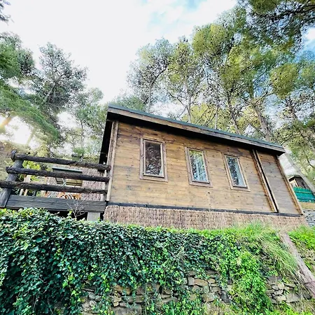 Alma مكان تخييم *