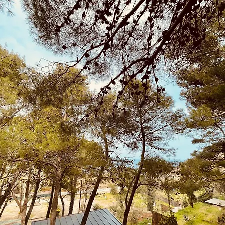 Alma Campsite Collioure