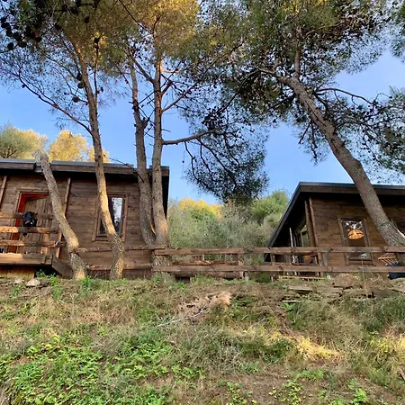 Alma كولِيورْ