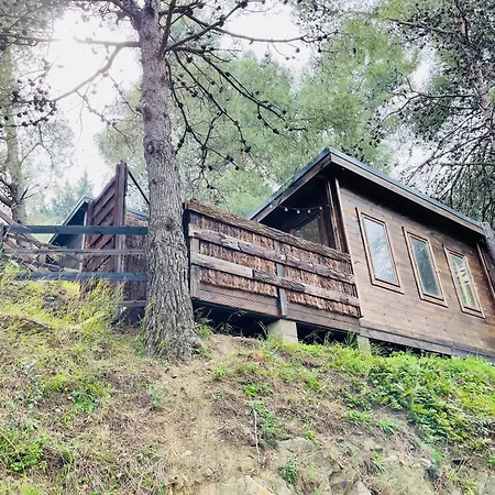 Alma * كولِيورْ