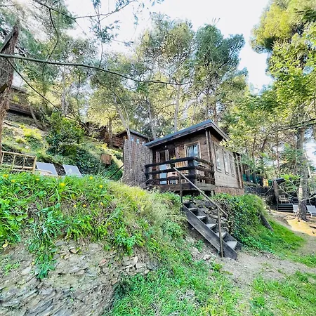 Alma مكان تخييم *