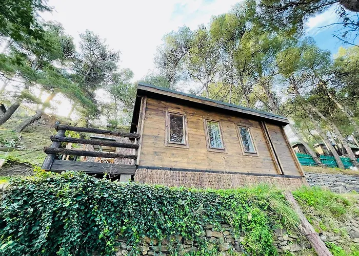 Les Cabanons De L'ouille Camping *