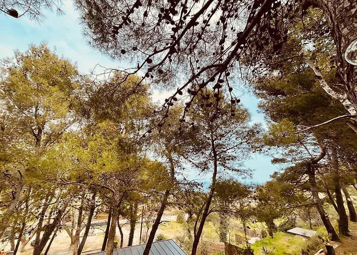 Les Cabanons De L'ouille Camping Collioure