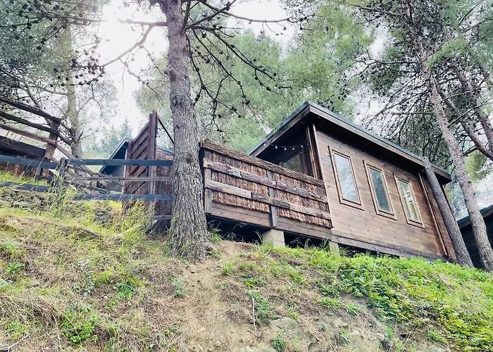 Les Cabanons De L'ouille * Collioure