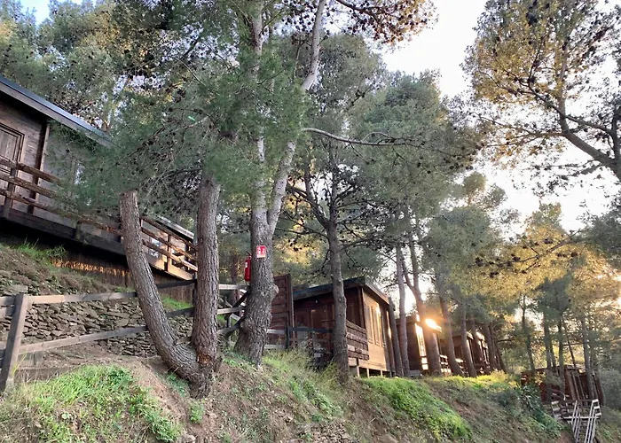 Camping Les Cabanons De L'ouille *